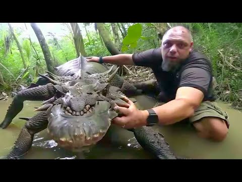 15 Criaturas Extrañas Que Viven En El Rio Amazonas 😰