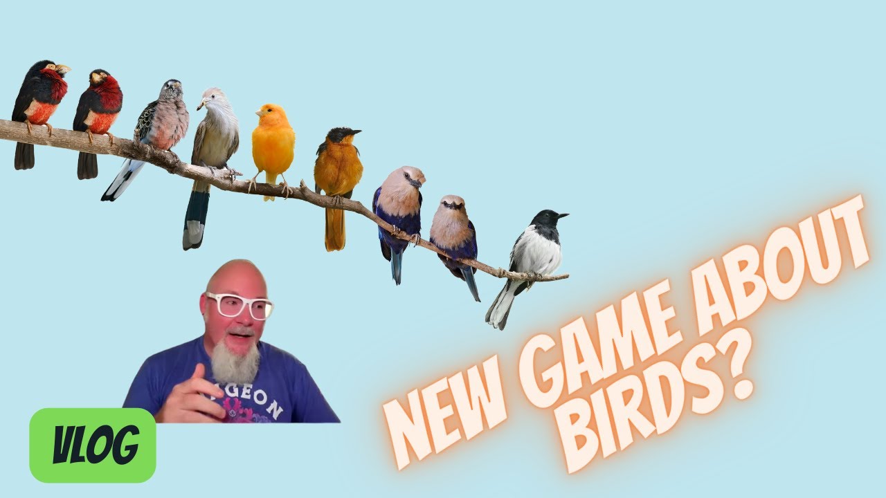 The secret behind the addictive fun of this bird game! #boardgames