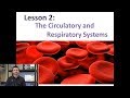 Respiratory and Circulatory Systems