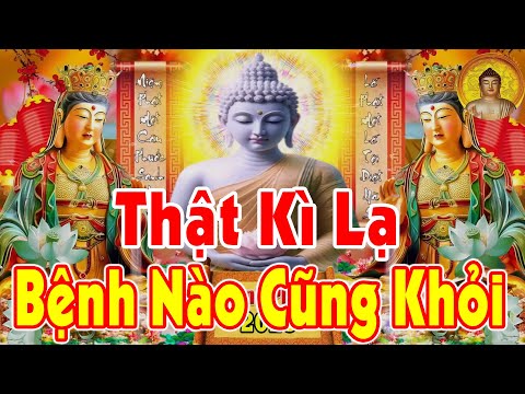 Bệnh Nặng Đừng Sợ, Nghiệp Lớn Đừng Lo, Kinh Nghe Chỉ Vài Giây Khổ Gì Cũng hết Bệnh Gì Cũng Khỏi Thọ