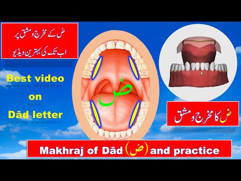 Duad letter makhraj and practice  | Makhraj of Daad letter |  Zuad letter Tajweed | Arabic letters