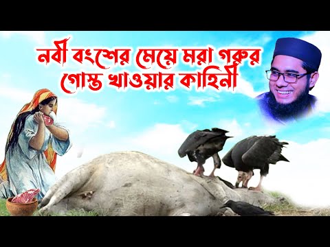 mufti mawlana shahidur rahman mahmudabadi bangla waz download 2021 | BD WAZ একটি মরা গাধার কাহিনী