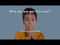 Understanding Hiccups