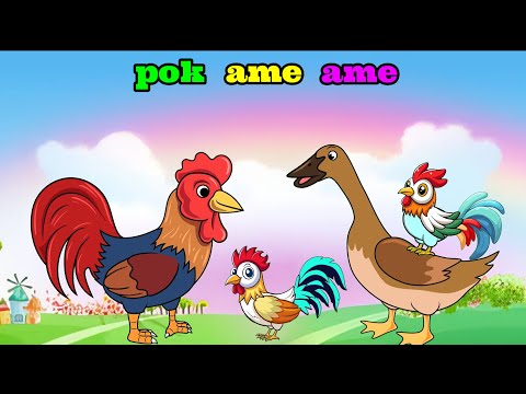 Bebek Nyosor Dan Animasi Ayam ~ Pok Ame Ame ~ Lagu Anak Balita