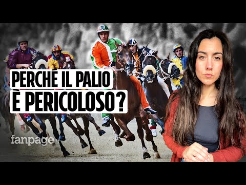 Perché il Palio di Siena esiste ancora? Come funziona e quali sono i rischi per i cavalli