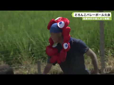田原本町の田んぼで熱戦！どろんこバレーボール大会