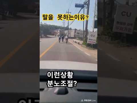자동차를 굴복시킨 자전거라이딩