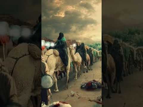History Of Hazrat Ali💯 The Lion Of Allah #AayanShehXadaMuktar #shorts #youtubeshorts #islamicstatus