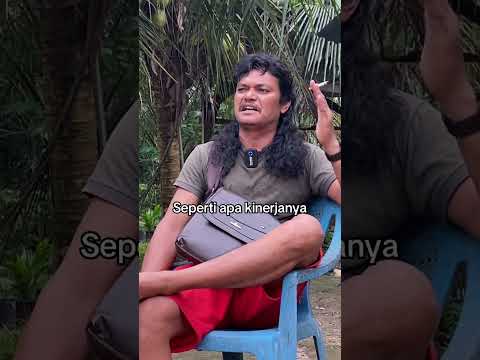 Kukira batak ternyata jawa #komedibatak #lawak #bataktoba
