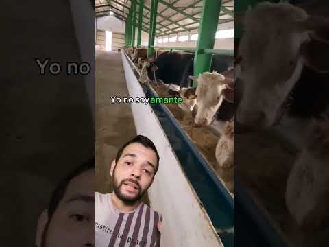Bebedero 💧 #agro #campo #rancho #ganado #ganaderia #zootecnia #elpecuario