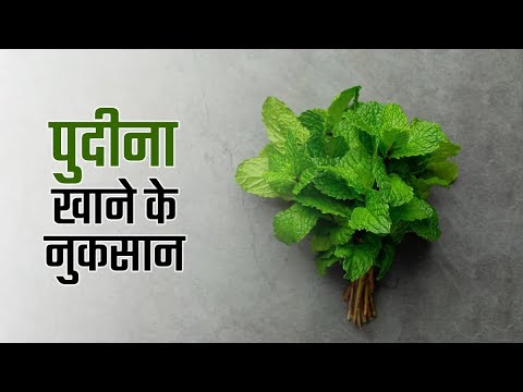 हमेशा फायदेमंद नहीं होती पुदीने की पत्तियां | Pudina Khane Ke Nuksan