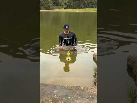 The boy caught many fish from the pond. #shorts #gadgets #shortsfeed