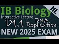 DNA Replication Processes and Enzymes