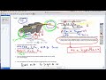 Photosynthesis Concepts and Processes