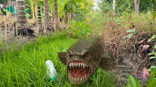 Clean and unclogging the pond