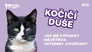 Mazúrová: Proč se vaše kočka bojí veteriny (a jak to napravit)? | Kočičí duše #25