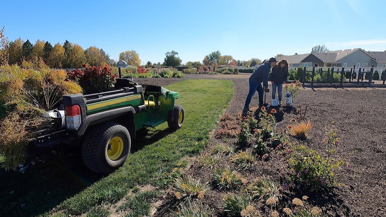 Planting Some Rough Looking Stuff!