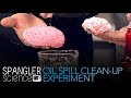Oil Spill Cleanup and Environmental Science