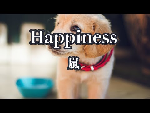 【カラオケ】Happiness – 嵐【オフボーカル】