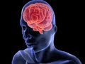 Brain Health and Nutrition Concepts