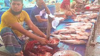 Pangash Fish Cutting by Local Fish Seller | Dh Bangla Media