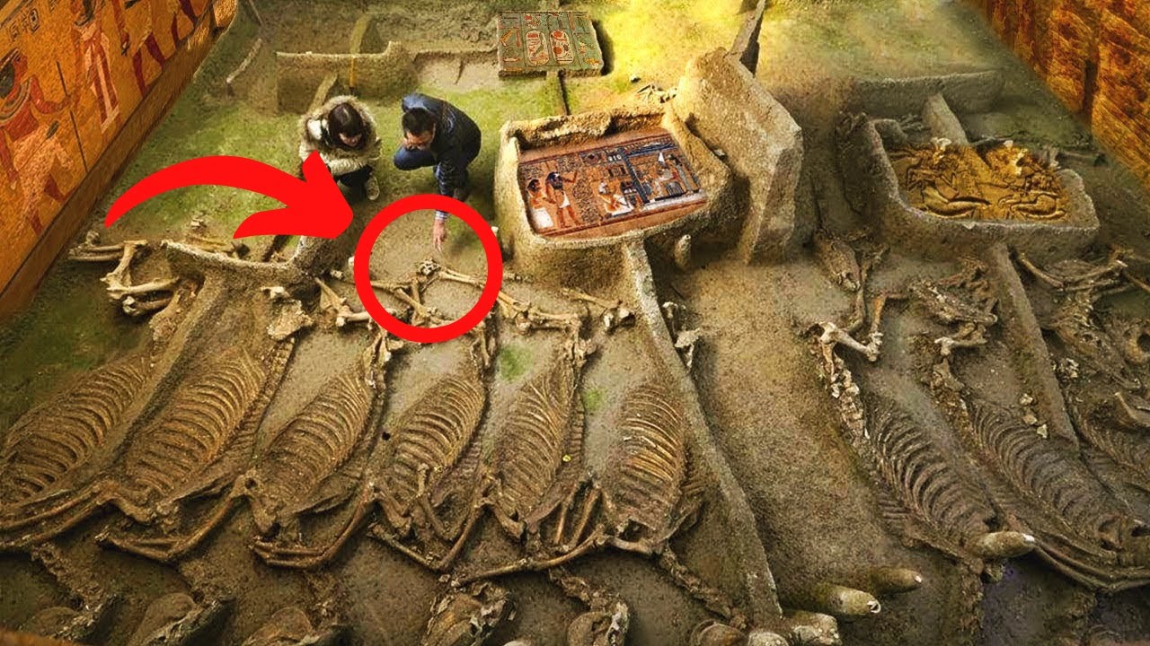 Top 7 Shocking Archaeological Discoveries in 2022