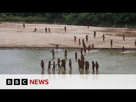 YouTube video thumbnail: 'Brothers in the Forest' - the Fight to Protect an Isolated Amazon Tribe 