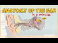 Understanding the Human Ear