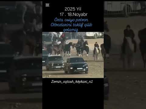 13 ноября 2025 г.