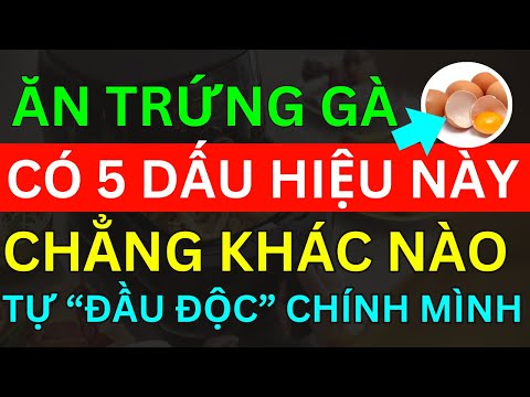 Bác Sĩ Mách ĂN TRỨNG GÀ CÓ "5 DẤU HIỆU NÀY" CHẲNG KHÁC NÀO "TỰ ĐẦU ĐỘC" CHÍNH MÌNH RẤT NGUY HIỂM...