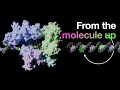 Understanding DNA and Evolution