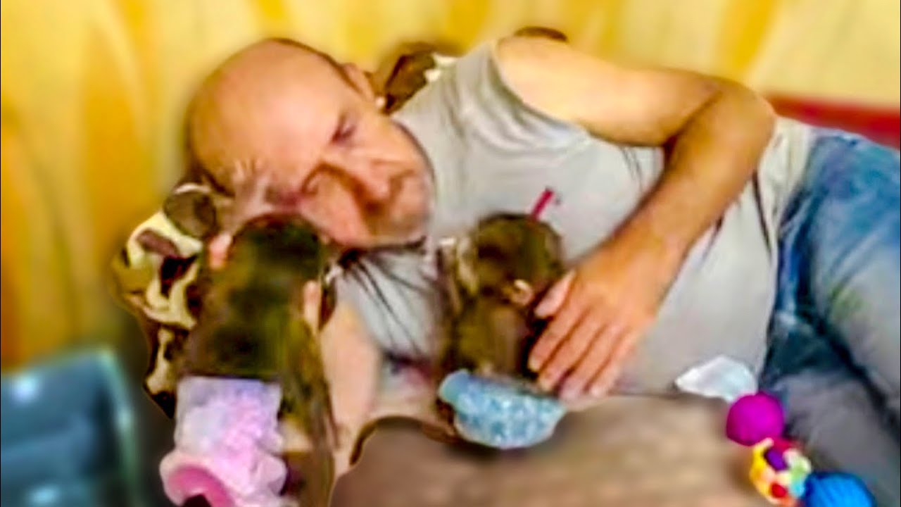 Мы с Маняшей и Степашей ВЕРНУЛИСЬ С ПРОГУЛКИ и новые происки ВОЛШЕБНЫХ ЛЮДЕЙ(
