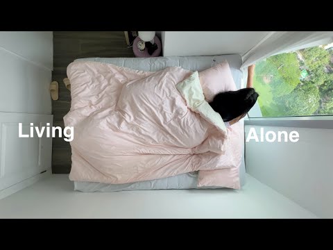 Living Alone • productive days, grocery run, shopee & lazada haul