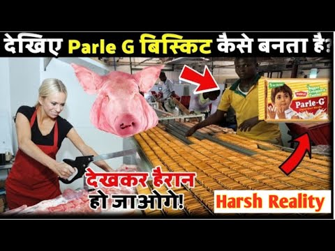 देखिए फैक्ट्री मे कैसे बनते है Parle G बिस्कुट||Harsh Reality about Parle G||Manufacturing process||