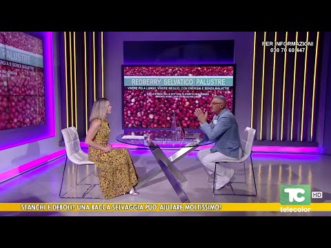 Erbe medicali: stanchi e deboli? una bacca selvaggia può aiutare moltissimo! - 10.07.2025
