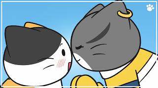 고양이 한 마리가 이집트의 전설이 된 이야기