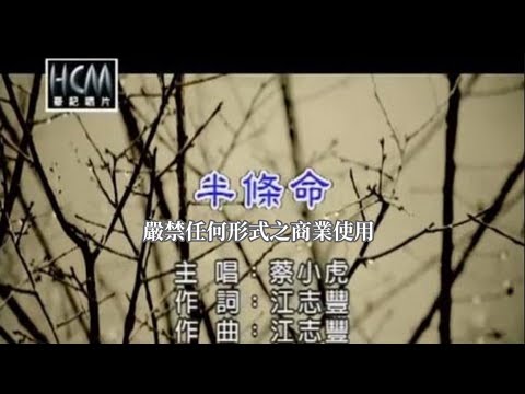 蔡小虎-半條命(官方KTV版)