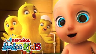 🐔 Los Pollitos dicen Pio Pio | Videos para Niños | LooLoo Kids en Español
