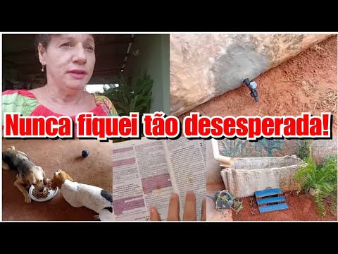 O MAIOR SUSTO DA MINHA VIDA + ELE É FEIO MESMO! Vlog ❤️