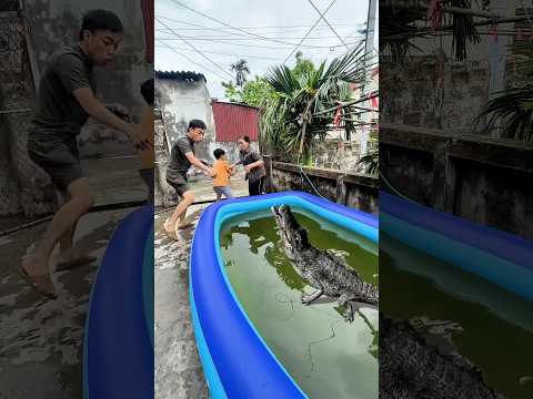 Nhận được món quà từ siêu anh hùng và cái kết #funny #anime #shortvideo #challenge