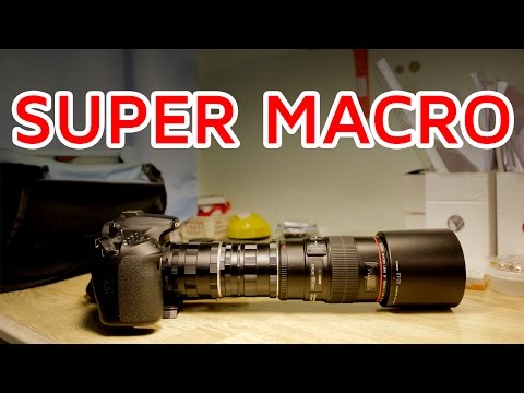 Super Macro! Macro lens + TWO extension tubes!