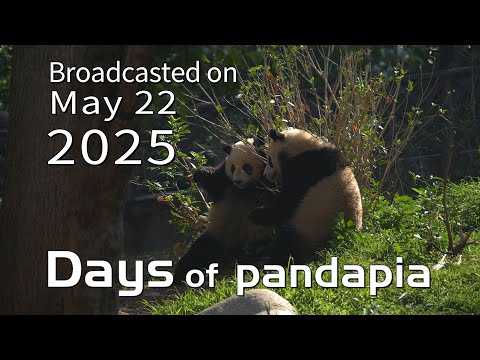 20250522 Broadcast Top Highlights 02