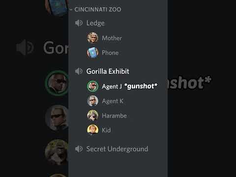 Harambe Discord Meme