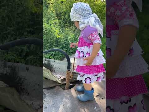 Сейчас гусей напою #ЯжеВика