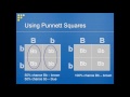 Genetics and Inheritance Concepts