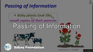 Passing of Information