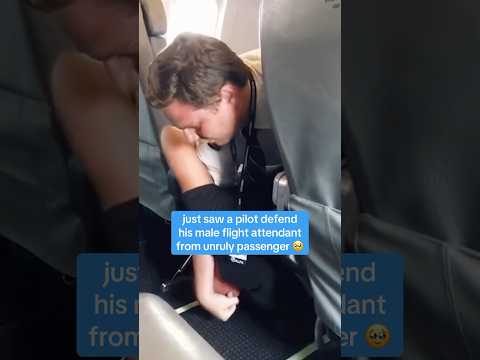 Pilot defends flight attendant #shorts