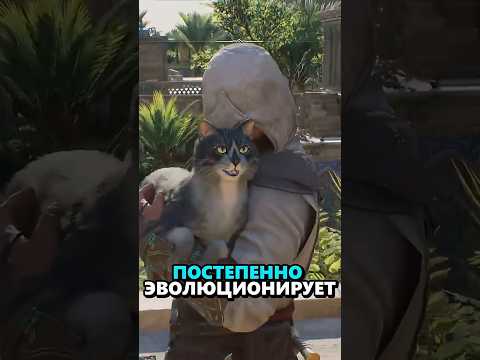 Ассасин и котики #игры #assassinscreed #sonnyk