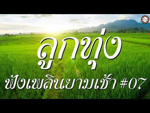 ลูกทุ่งฟังเพลินยามเช้า #07 ฟังเพลงเพราะยาวๆๆ #โดนตลอด #สวยครบสูตร #น้ำในคลอง #โรคแพ้ความสวย | ปัน