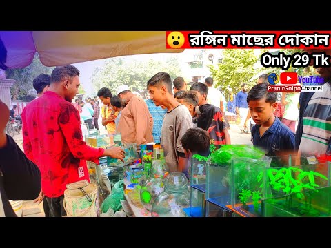 Aquarium 🐠Aquarium Price In Bangladesh🐠Aquarium Fish Price In Bangladesh🐠Fish Aquarium